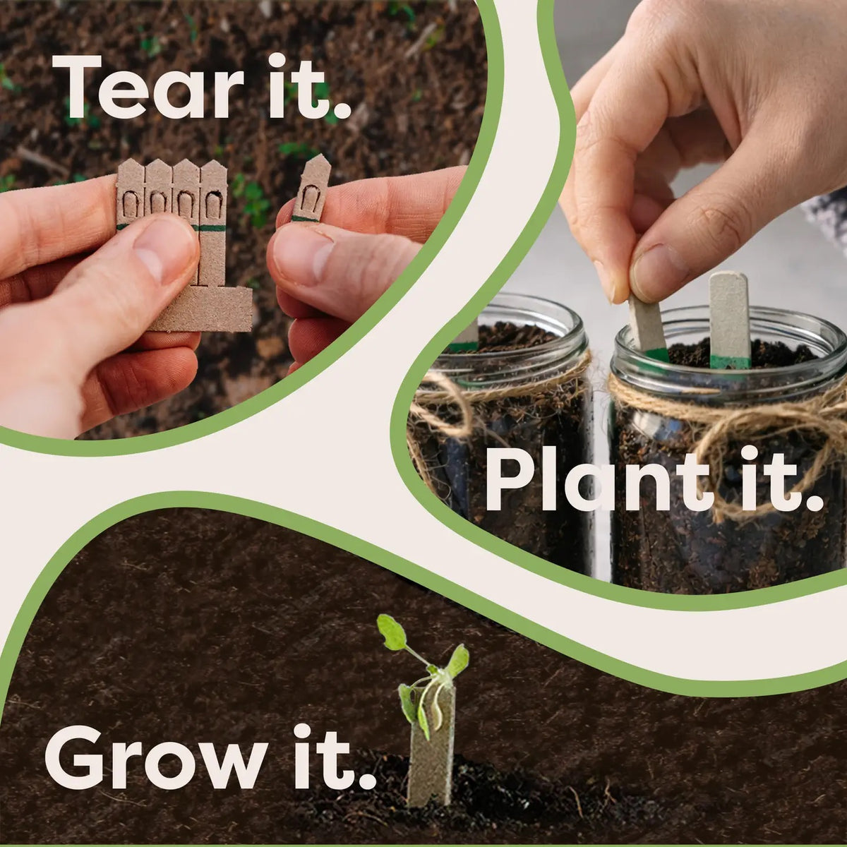 The simple process of planting seedsticks - tear it, plant it, grow it shown in action.