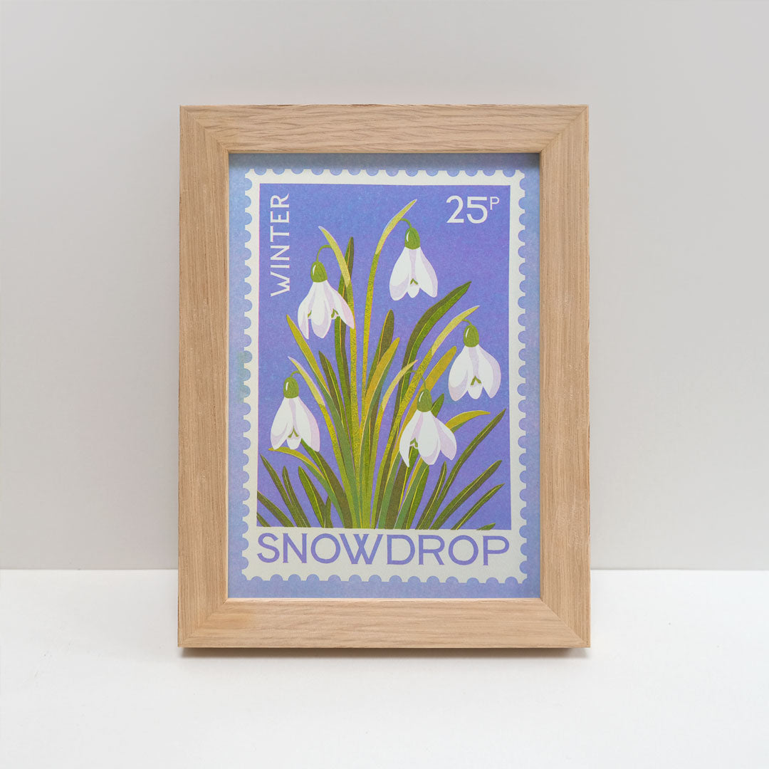 Framed vintage stamp style snowdrop  illustration, photographed against a plain light gray wall and white surface.