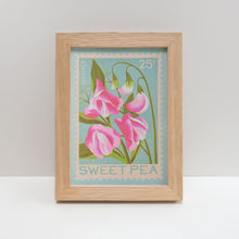 A framed art print featuring a vintage-style sweet pea stamp illustration with pink flowers on a light blue background, set in a light oak wood frame against a neutral white background.