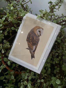 Barn Owl Greeting Card