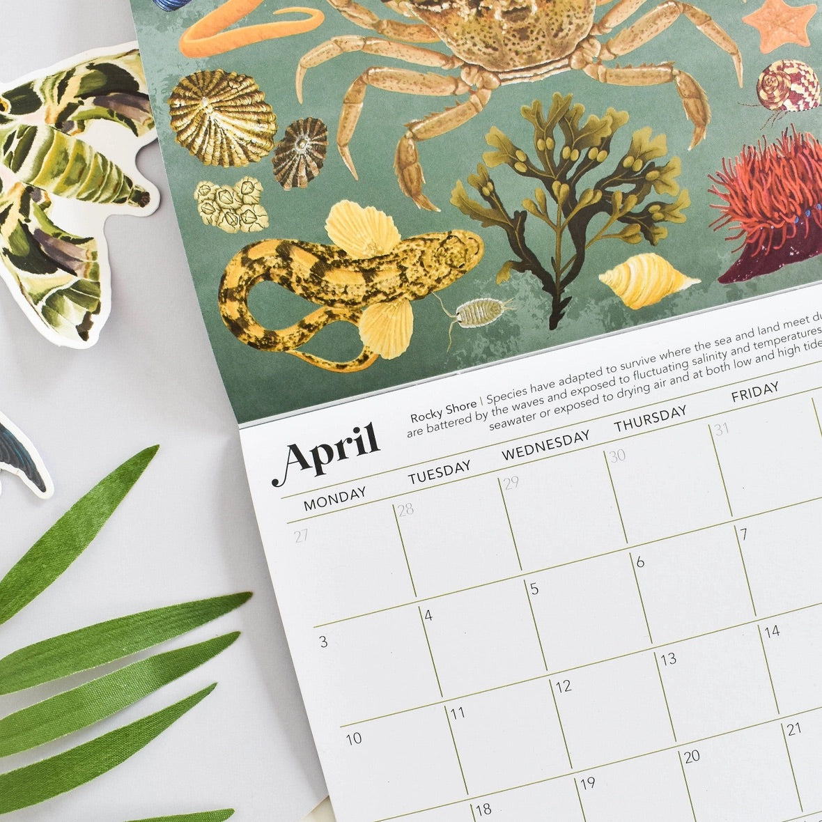 An illustrated calendar page showing April with a sea life design, featuring a crab, fish, coral, shells, and a turtle sticker on a white surface with green leaves.