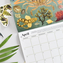 An illustrated calendar page showing April with a sea life design, featuring a crab, fish, coral, shells, and a turtle sticker on a white surface with green leaves.