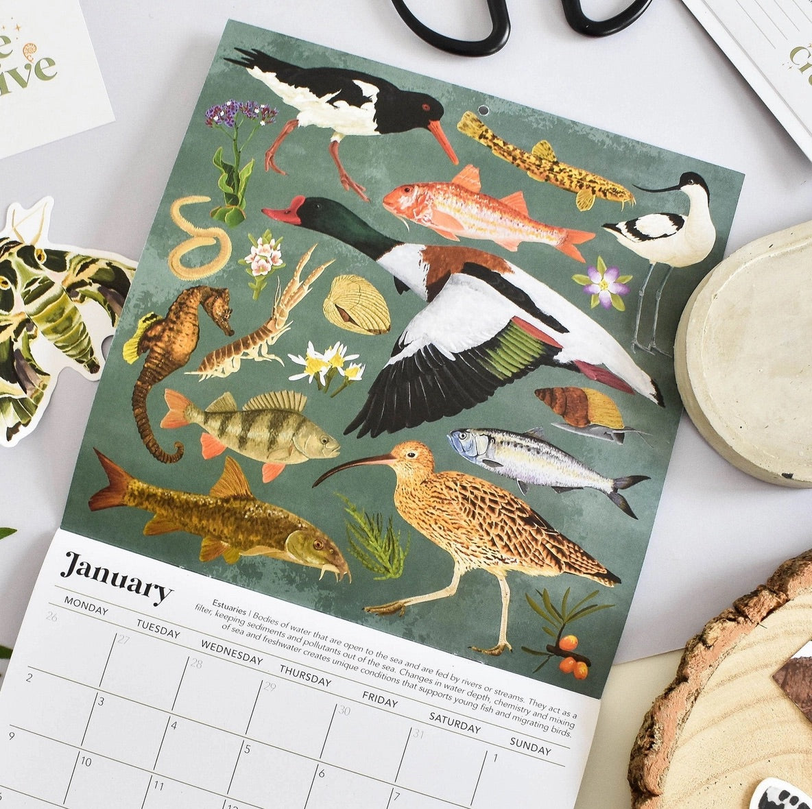 A January calendar page featuring a detailed illustration of various birds and fish on a muted green background, styled on a light surface with partial props around it.