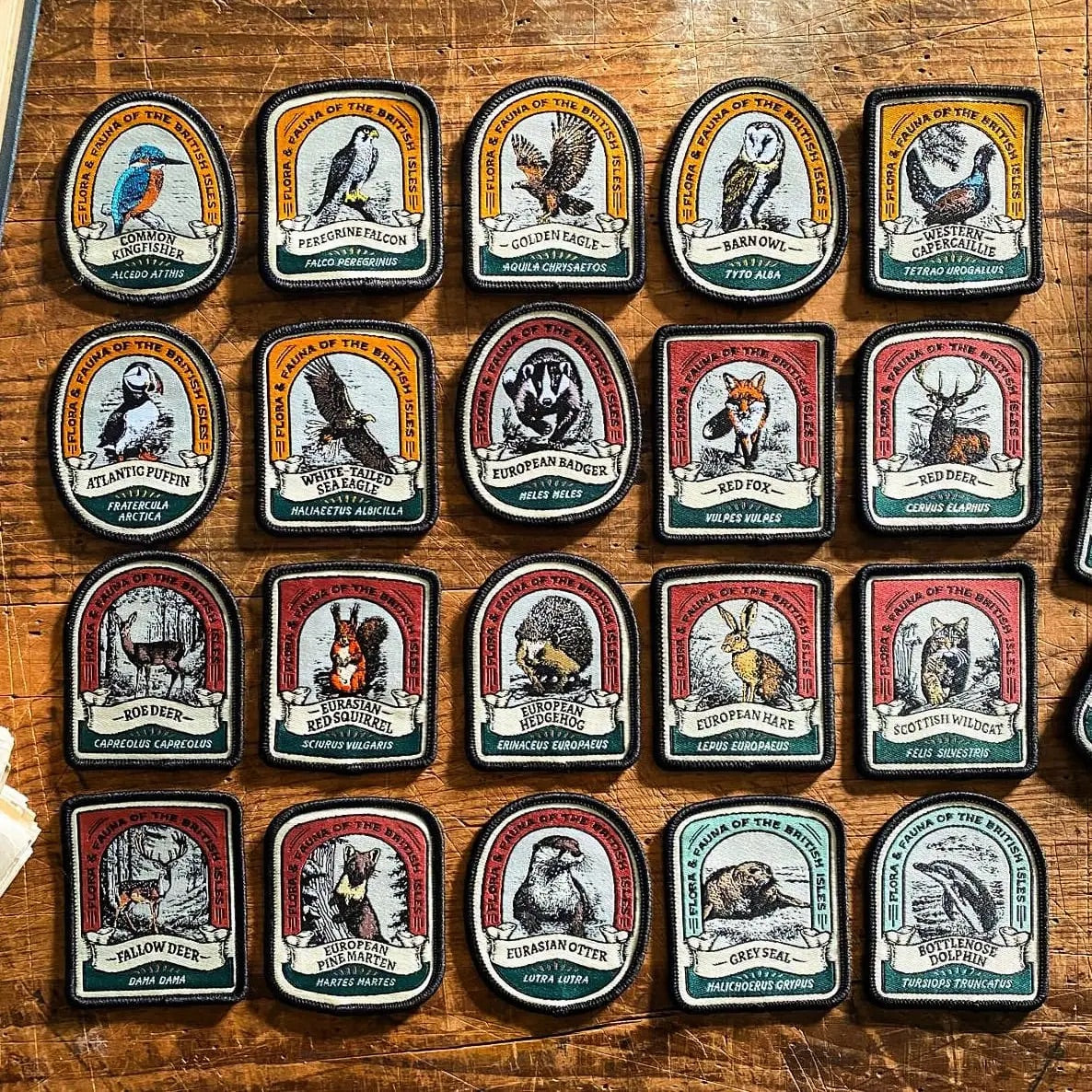 Collection of animal-themed embroidered patches on a wooden surface