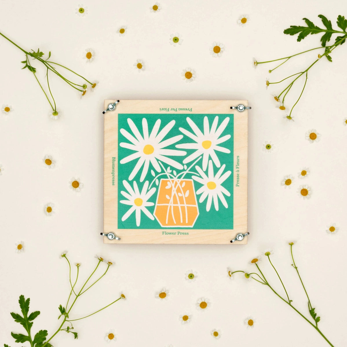 Daisy Print Flower Press