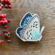 Large Blue Butterfly Wooden Decoration