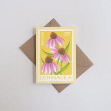 Echinacea Greetings Card