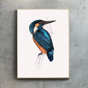 Kingfisher A4 Print