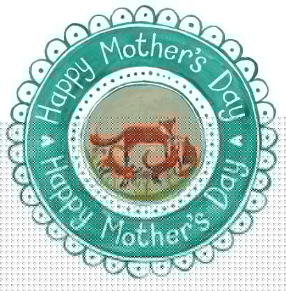 Happy Mother's Day Fox Card