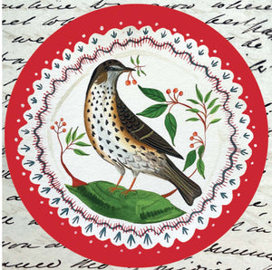 Mistle Thrush Christmas Card, Pack of 6