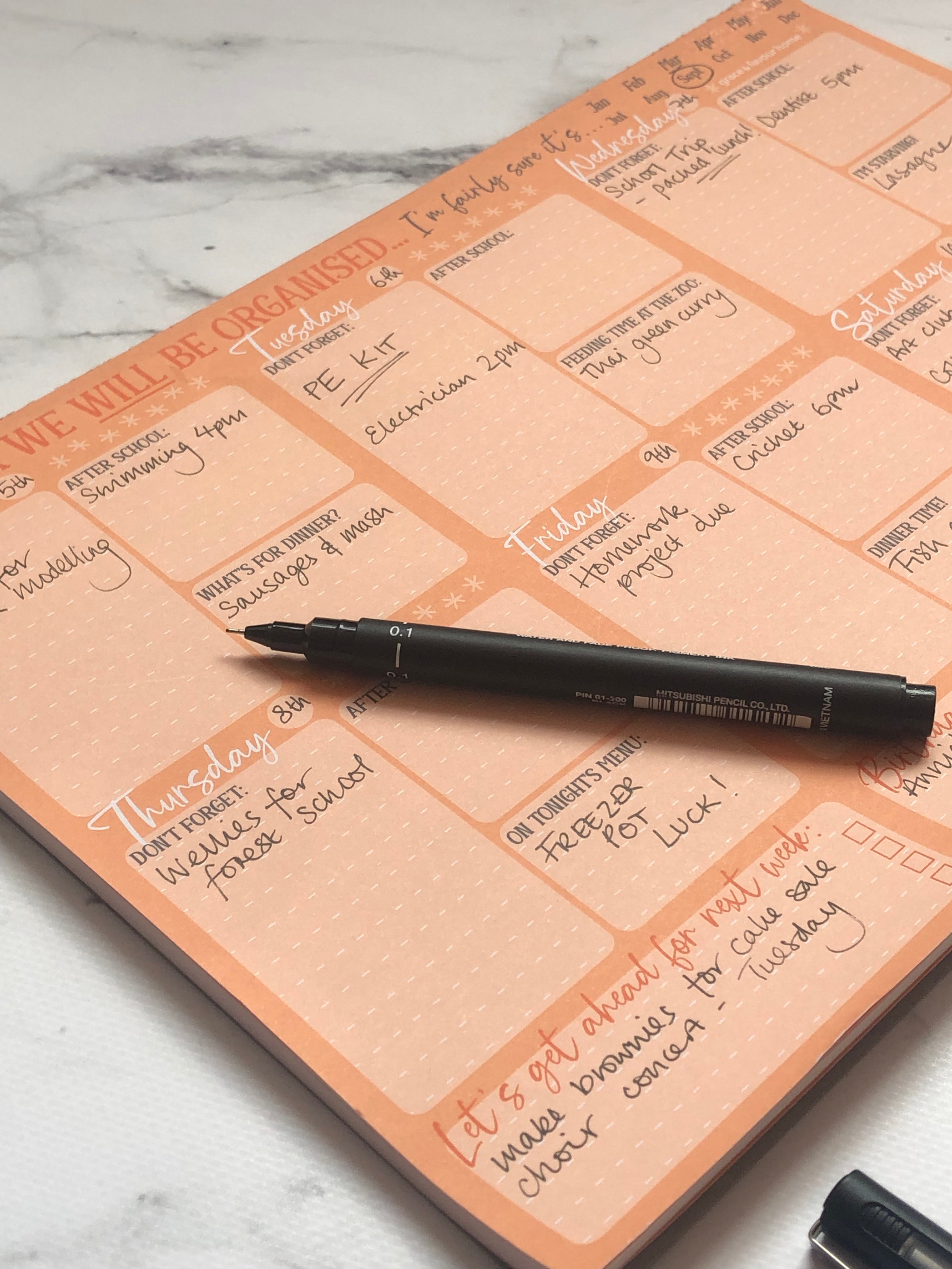 This week we WILL be organised - Family Planner