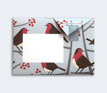 Robin and Wren Pigeon Pack