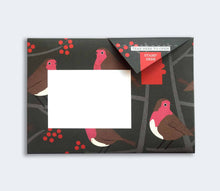 Robin and Wren Pigeon Pack