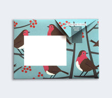 Robin and Wren Pigeon Pack