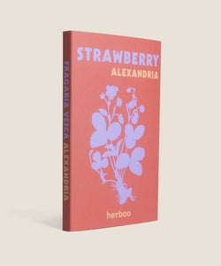 Alexandria Strawberry Seeds