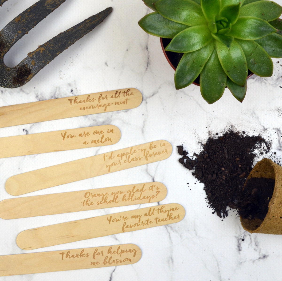 Best Teacher Plant Marker Gift Set