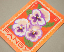 Pansy Flower Print