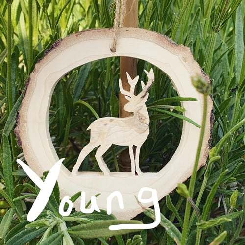 Young Stag Christmas Wooden Decoration